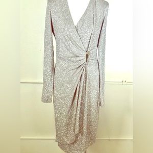 Sparkly Silver Calvin Klein Dress